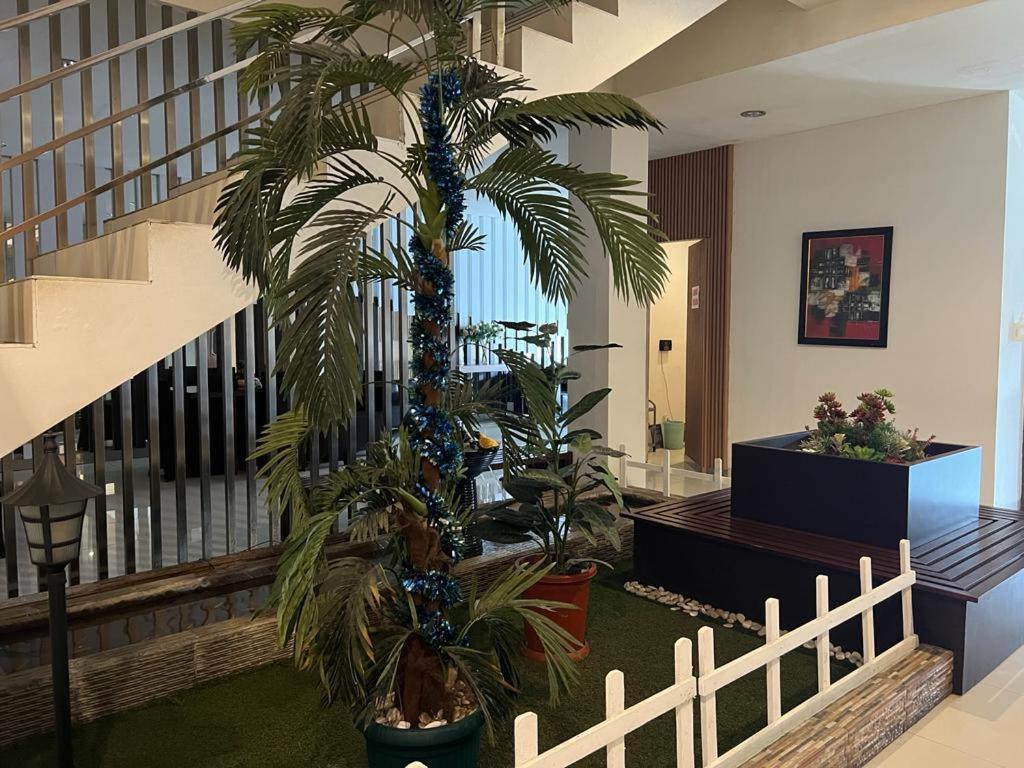 Ayla City Hotel Sorong Bagian luar foto